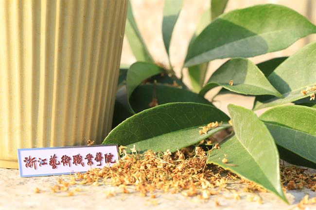 微信图片_20221105101236.jpg 微信图片_20221105101236.jpg