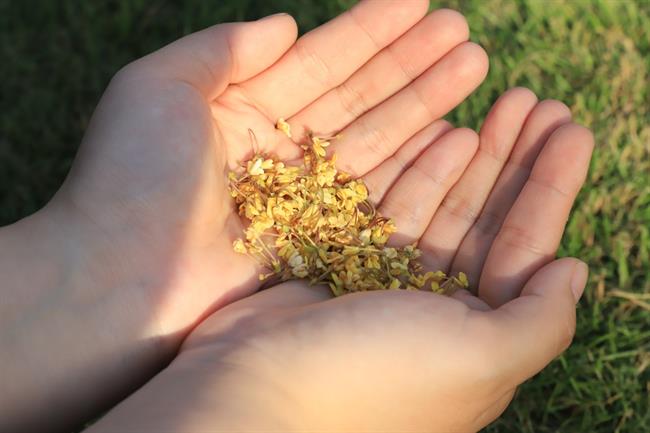 微信图片_20221105101209.jpg 微信图片_20221105101209.jpg