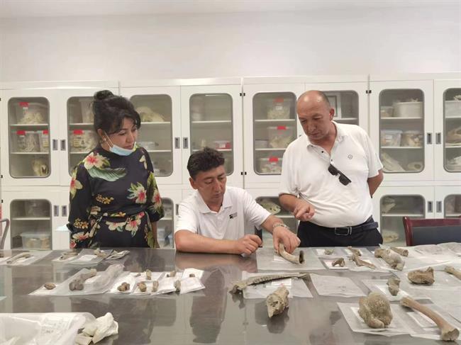 2022年阿克苏地区文博人才培训班参加现场教学.jpg 2022年阿克苏地区文博人才培训班参加现场教学.jpg