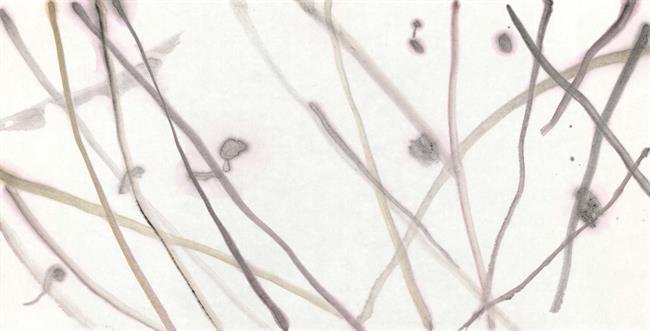 图片20.png 图片20.png