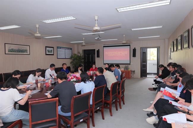 IMG_6729.jpg IMG_6729.jpg